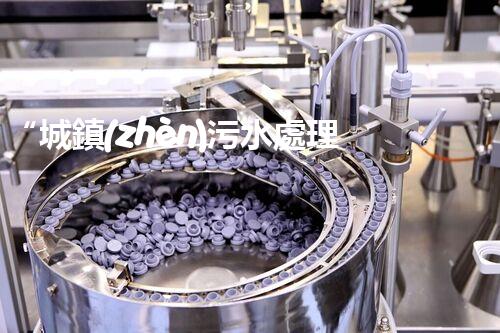 “城鎮(zhèn)污水處理污泥變廢為寶，助力綠色環(huán)保新篇章”